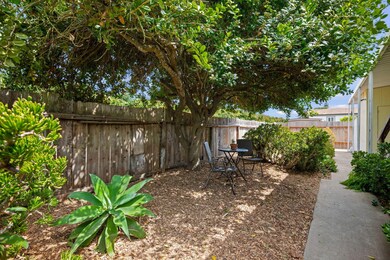04 - Side Yard