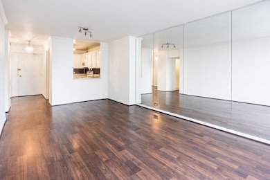 Park Tower Market unit 1608, Chicago, IL 60640 - photo 6