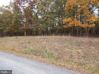 29A Holly Hill Ln, Berkeley Springs, WV 25411 - photo 6