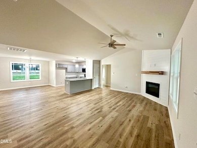 114 Dees Meadow Ln, Fremont, NC 27830 - photo 4