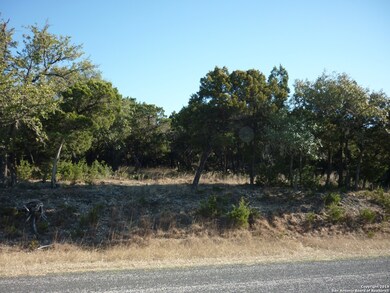22739 Central Prairie, San Antonio, TX 78255 - photo 2