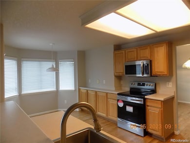 18259 Michigan Creek Way, Parker, CO 80134 - photo 6