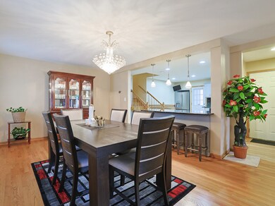 791 N Adele St, Elmhurst, IL 60126 - photo 6