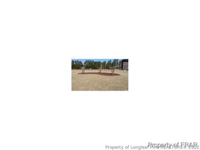 3167 Sids Mill Rd, Fayetteville, NC 28312 - photo 4