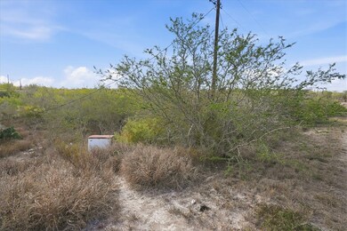 00 Ranger Dr, Sandia, TX 78383 - photo 7