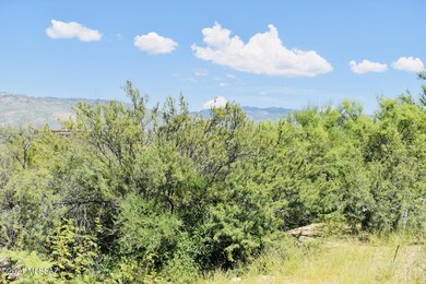 Coyote Creek