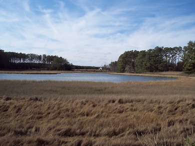 Lot #5 Metompkin Rd unit 5, Parksley, VA 23421 - photo 3