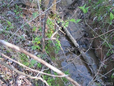Land - Small Spring-fed Stream on Land