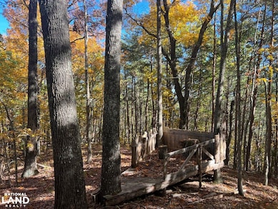 0 Polly Mountain Rd unit 25503304, Madisonville, TN 37385 - photo 6