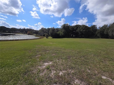 140 E Lemon St, Lady Lake, FL 32159 - photo 4