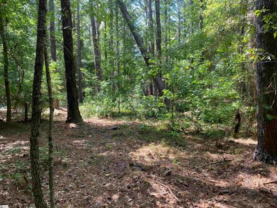 0 Sandy Springs Rd, Pelzer, SC 29669 - photo 4