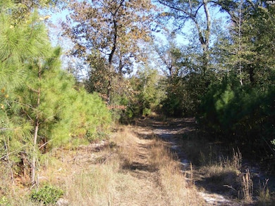 149 Branham Branch Rd, Swansea, SC 29160 - photo 3