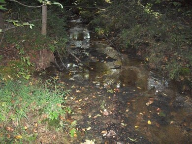 another view of stream