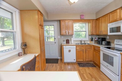 20420 Thornapple Ln, Big Rapids, MI 49307 - photo 7