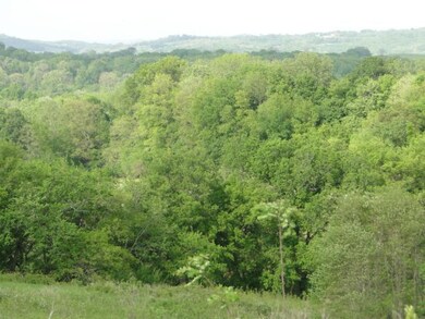 0 Goose Creek Rd, Shelbyville, TN 37160 - photo 6