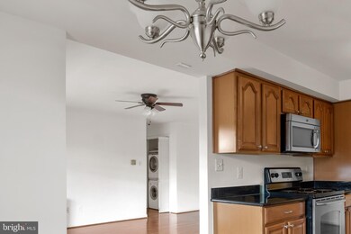 3332 Spring Ln unit C-40, Baileys Crossroads, VA 22041 - photo 5