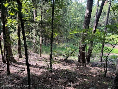 0089 Tract 8 & 9 Goats Bluff Rd, Wister, OK 74966 - photo 6