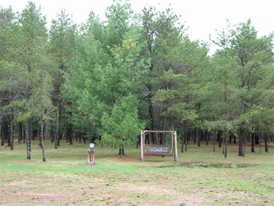 0 Dragonfly Rd unit 1646487, Warrens, WI 54666 - photo 6