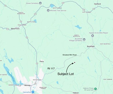 6.79 A End McAllister Rd, Buckfield, ME 04220 - photo 6