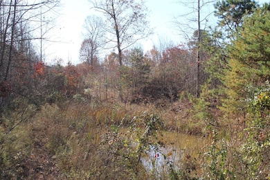 0 Deadend Trail, Garrison, KY 41141 - photo 6