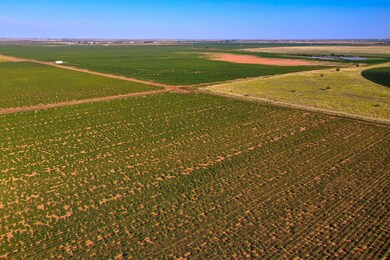1736 C R 5500, Lubbock, TX 79403 - photo 5