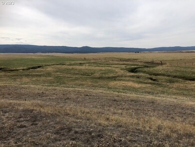 0 Short Beech Creek unit 23559792, Fox, OR 97856 - photo 2