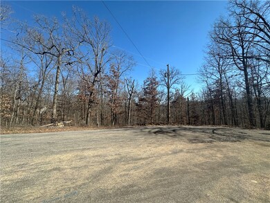 .34 Acres Carpenter Ln, Bella Vista, AR 72715 - photo 3