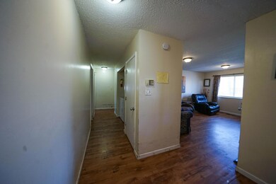 DSC02252