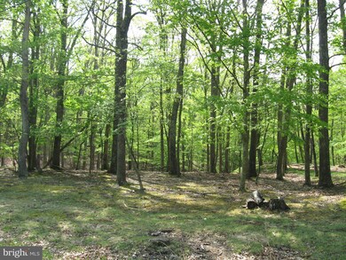 0 Tranquil Way unit WVMO115228, Great Cacapon, WV 25422 - photo 2