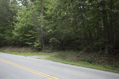 Standifer Gap land