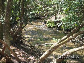 Bradley Creek
