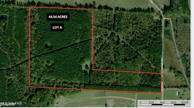 1851 Swamp Rd, Carthage, MS 39051 - photo 4