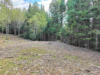 0 Cricket Lane Rd unit 10 & 11 5000689, Colebrook, NH 03576 - photo 3