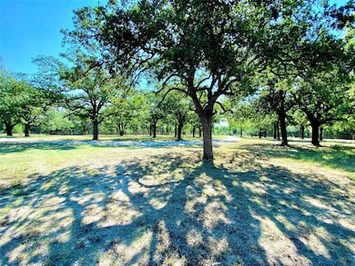 3881 Zion Hill Rd, Weatherford, TX 76088 - photo 6