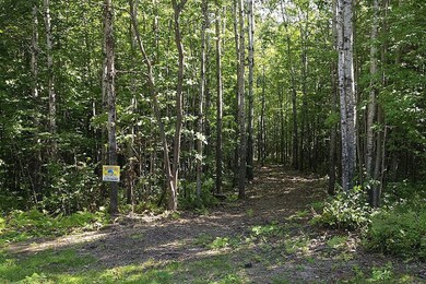 Lot 1 Cth C, Couderay, WI 54835 - photo 5
