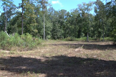 11393 Crossno Dr, Cleveland, TX 77328 - photo 2