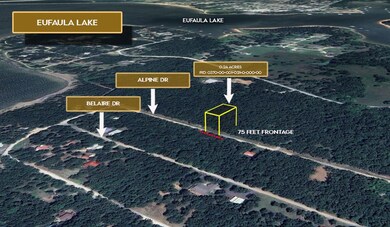 0 Alpine Dr, Eufaula, OK 74432 - photo 4