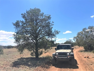 Lot 5 Un Named Rd, Ash Fork, AZ 86320 - photo 3
