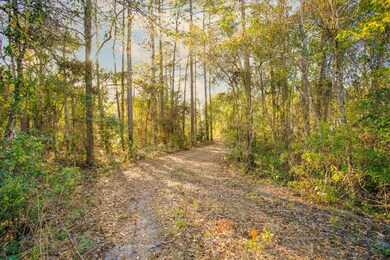 1931 County Road 13a N, Saint Augustine, FL 32092 - photo 2