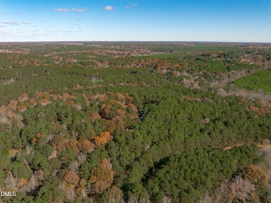 545 Deer Tail Ln, Fuquay Varina, NC 27526 - photo 3