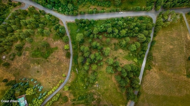 DJI_20250622120901_0555_D-HDR