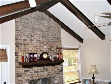 202 Northwood Ave, Shelbyville, TN 37160 - photo 6