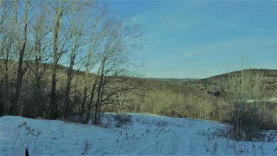 39 Primrose Ln, Wilmington, VT 05363 - photo 5