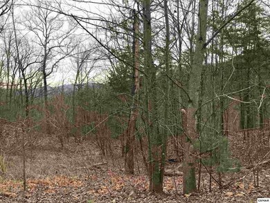 0 Lot 5-E Stackstone Rd, Sevierville, TN 37862 - photo 3