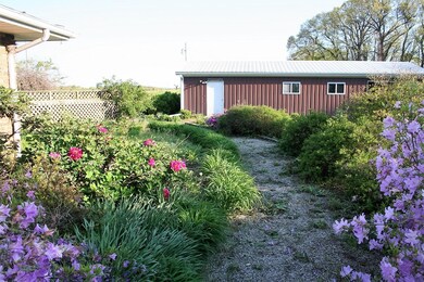 IMG_2853 - Copy