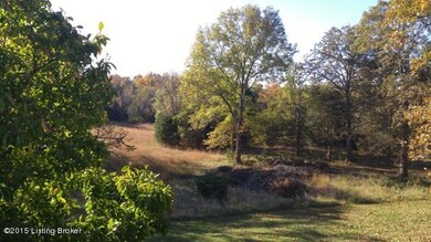 487 Gentry Ln, Mount Washington, KY 40047 - photo 6