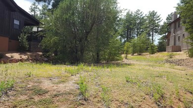 20160825_131009_resized_1