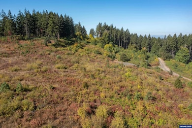 38733 Wildflower Next To Dr, Lebanon, OR 97355 - photo 7