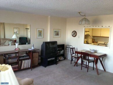 Radnor House unit 514, Bryn Mawr, PA 19010 - photo 2