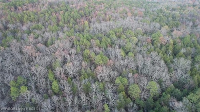 TBD Oklahoma 128, Heavener, OK 74937 - photo 5